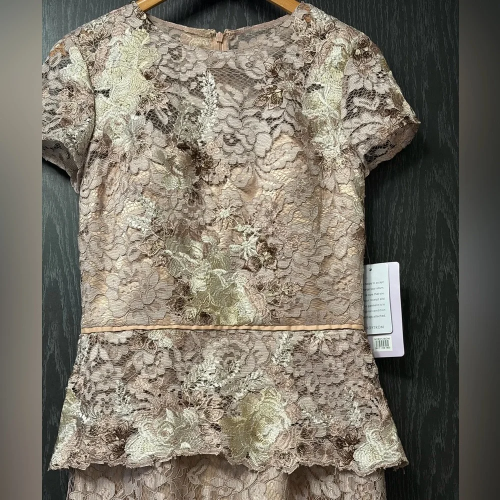 JS Collections Blush Color Lace Gown - Picture 7 of 16